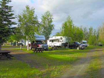 Set up among the trees