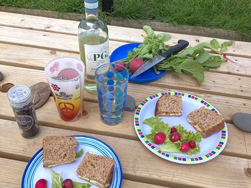 Picnic in the sun ☀️