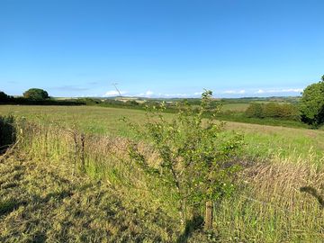 A view from the site