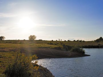Pond