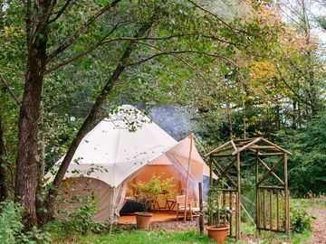 Tents among the trees