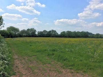Before haymaking