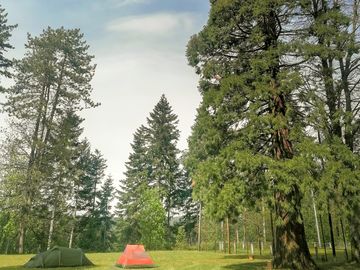 Tent field