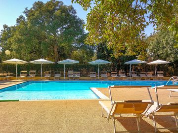 Pool and sun deck