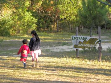 View of the site