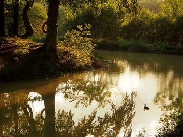 Quiet lakeside