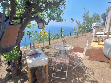 Private pitch with a plunge pool and sun loungers