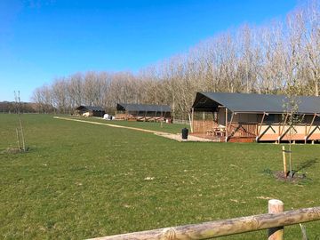 The Woodchests tents backed by trees