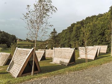 Wooden houses