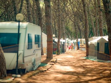 The caravan pitches
