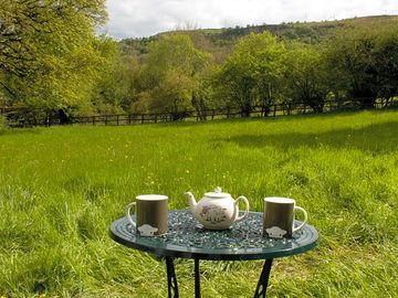 Tea with a view