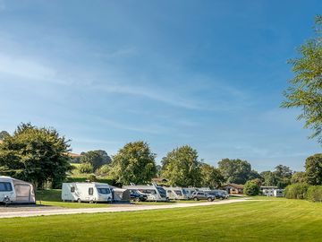 Sunny, level premier pitches at rockbridge park