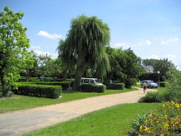 Pitches separated by hedges