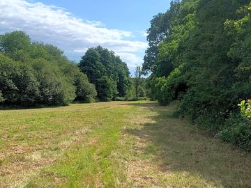 Plenty of open space and mature ancient woodland