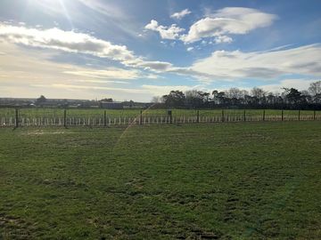 View from the site