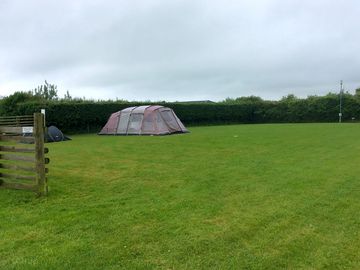 Tent field