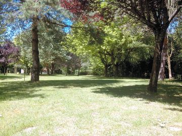 View of the pitches on a sunny day