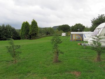 Well-tended grass pitches