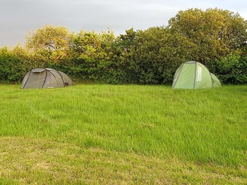 The camping pitches