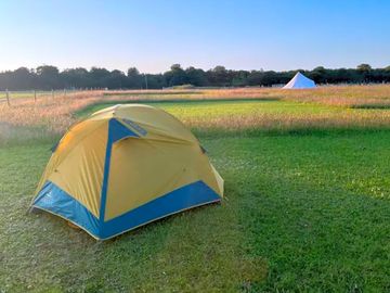 Tent pitched in field