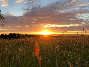 Sunset sky