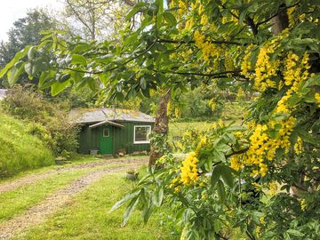 Simple cabin surrounded by fields of horses