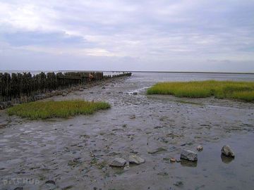 Wadden sea