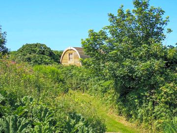 The pod seen from the stream valley