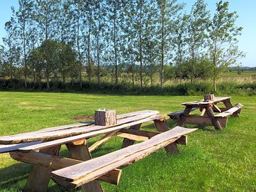 A shady picnic spot