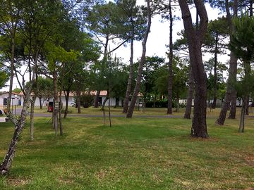 Shaded pitches