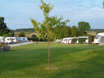 Touring field