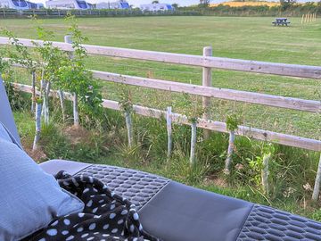 The view of the dog agility area from my van!