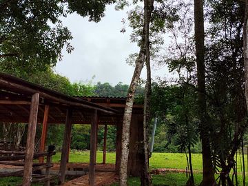 Around the site