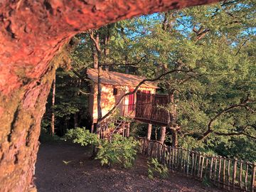 Treehouse setting