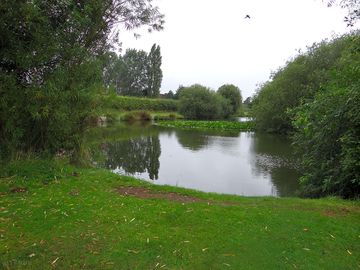 Peace and quiet by the lake
