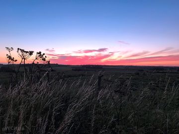 Sundown at treetops farm holidays