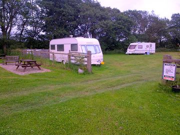 Pitches by the trees