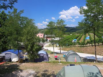 Tents