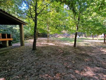 Tree-shaded pitches