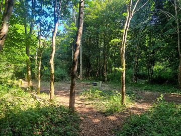 Clearing