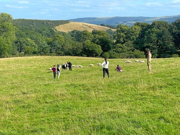 Powys views from the camping field