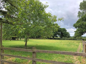 Surrounded by greenery