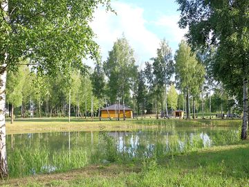 Splendid view of the pond