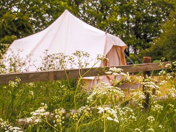 Bluebell bell tent