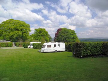 Electric pitches, with the shower block in background, under the trees