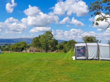 Visitor image of the site