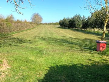 Grassy area for dogs to exercise