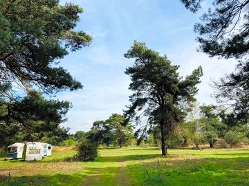 Grass pitch area next to the woodland pitches