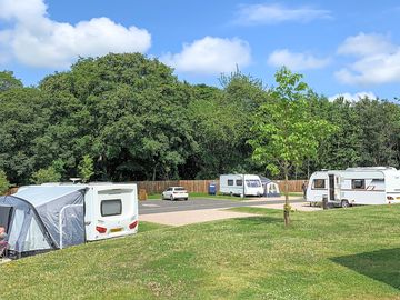 Spacious pitches surrounded by trees