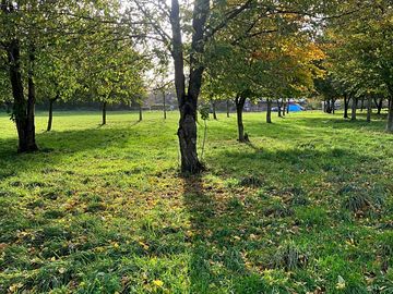 Camping area